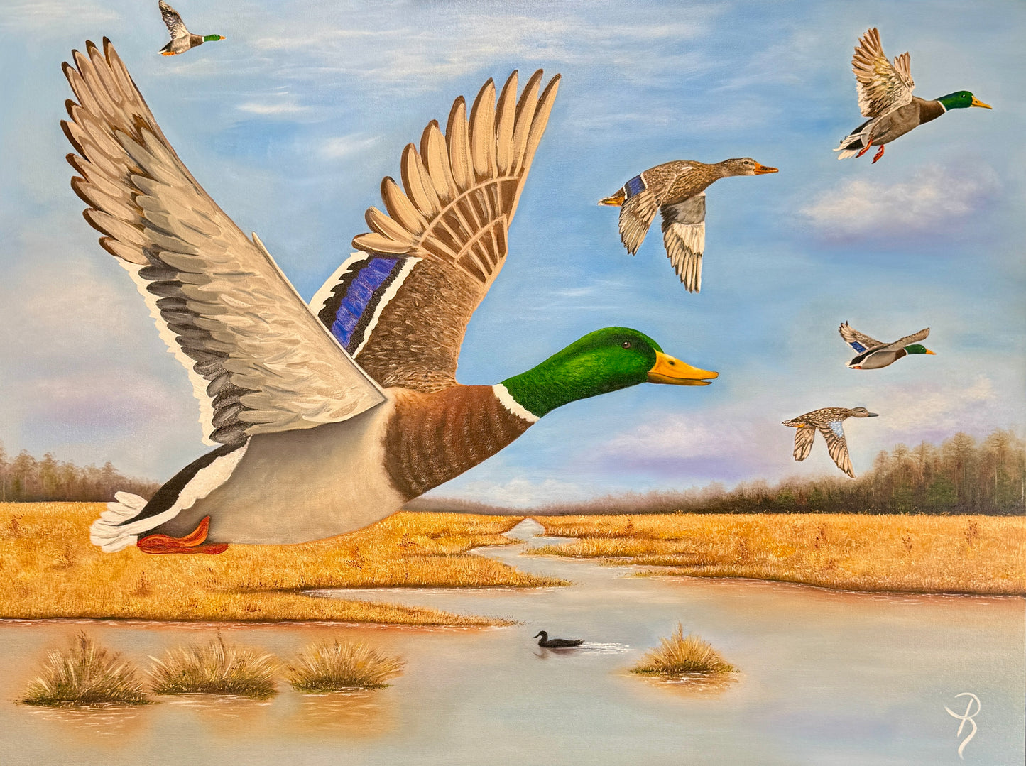 Ducks in flight over a water landscape with a blue sky.