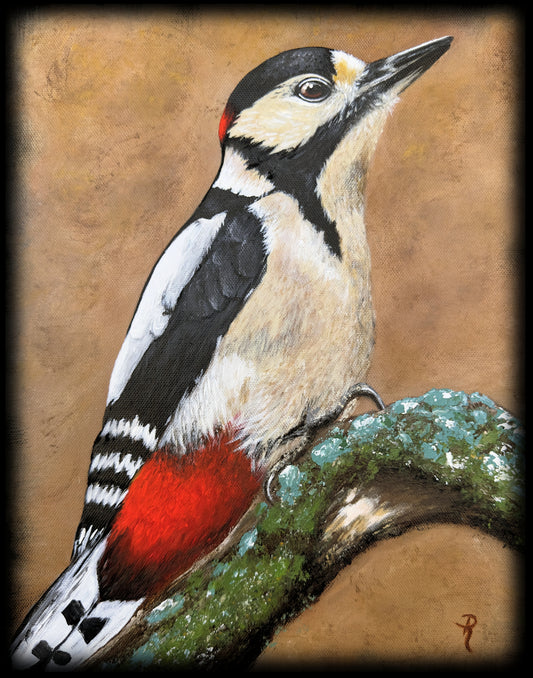 The Great Spotted Male Woodpecker Art Print