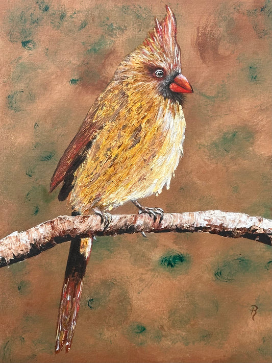 Sitting Pretty Female Cardinal Acrylic Painting