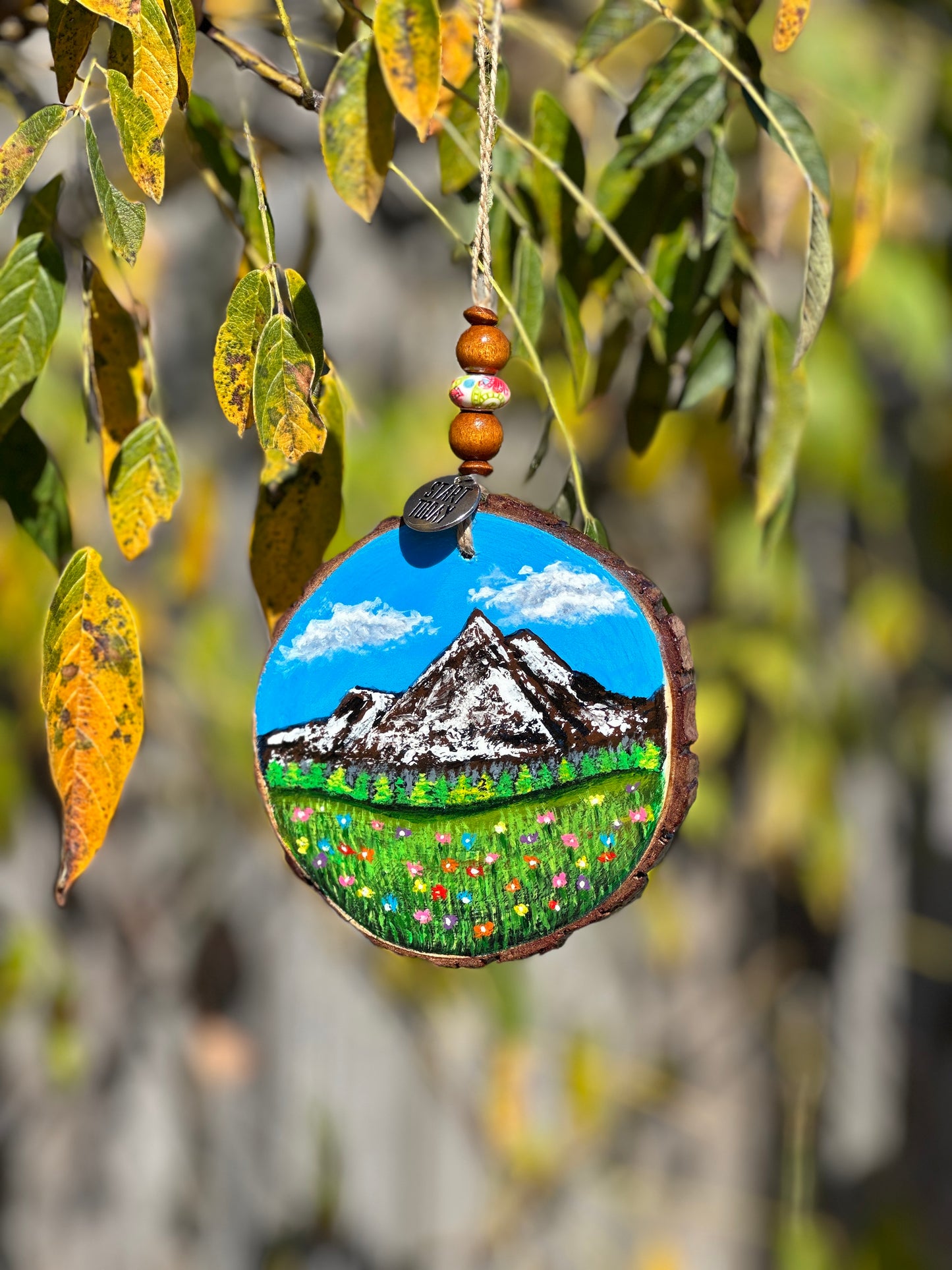 Hand Painted Wooden Ornaments