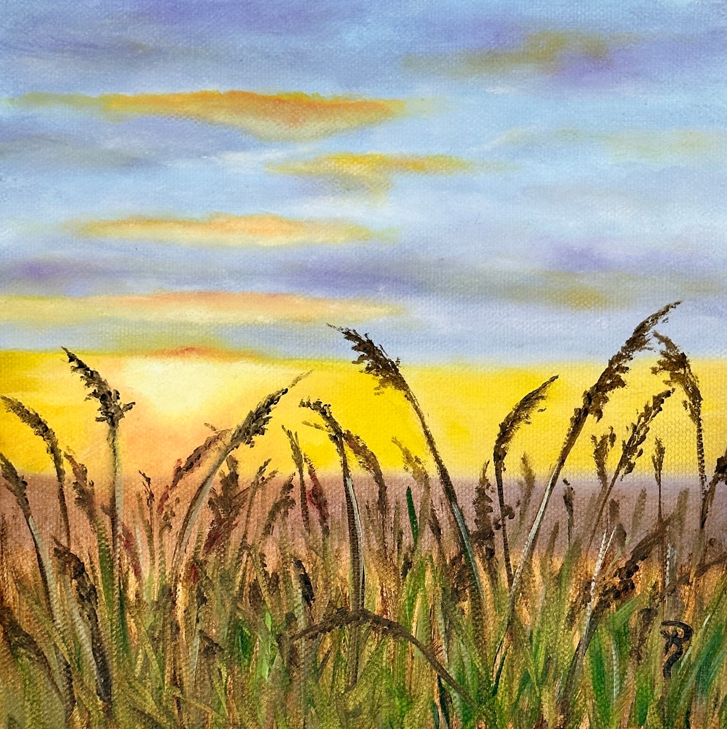 Sunset Fields Oil Painting