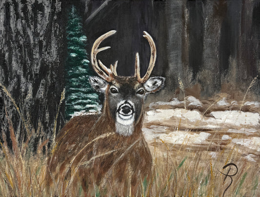 Deer with large antlers in a forest setting