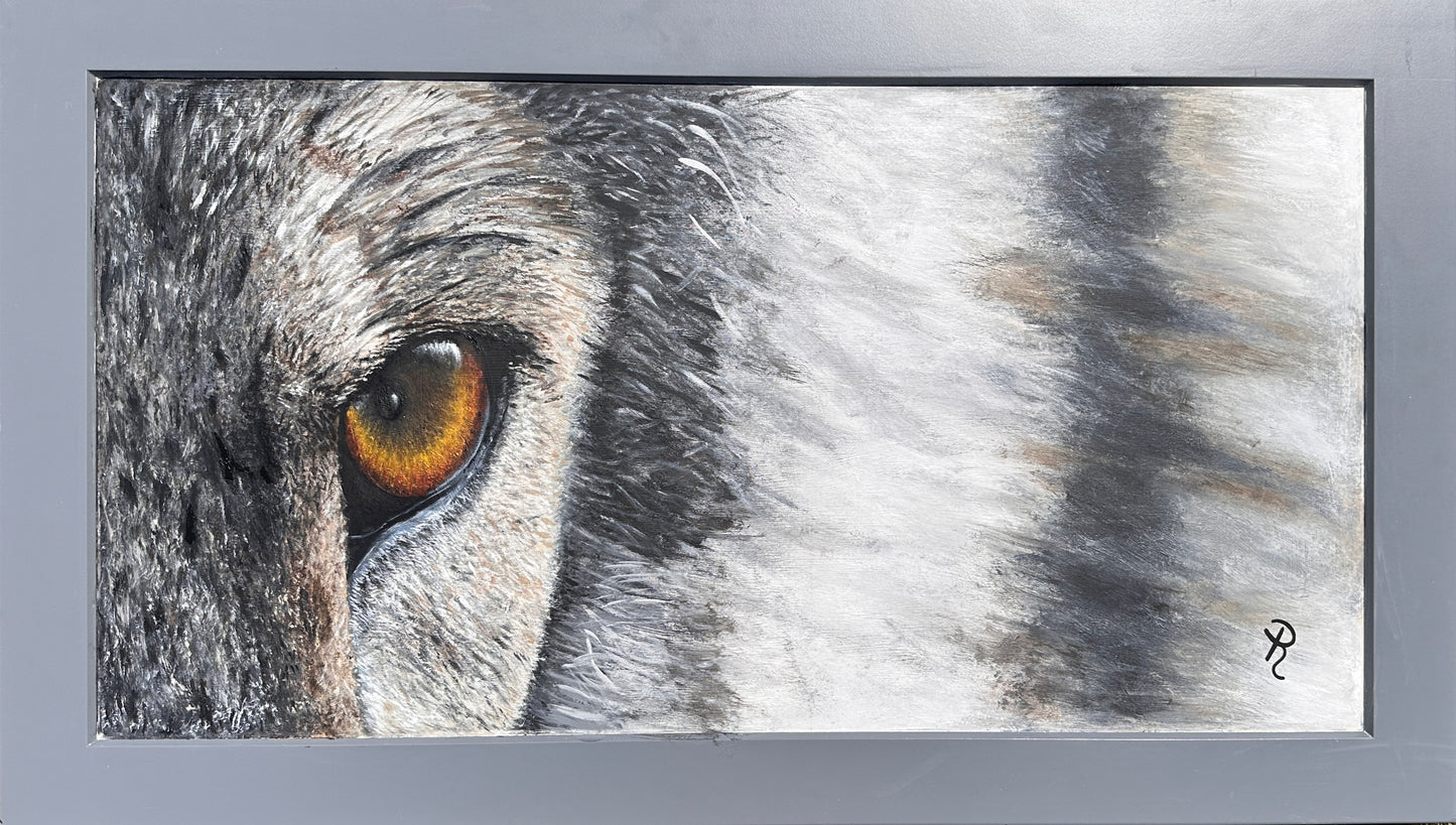 Focused: Gray Wolf Acrylic Painting