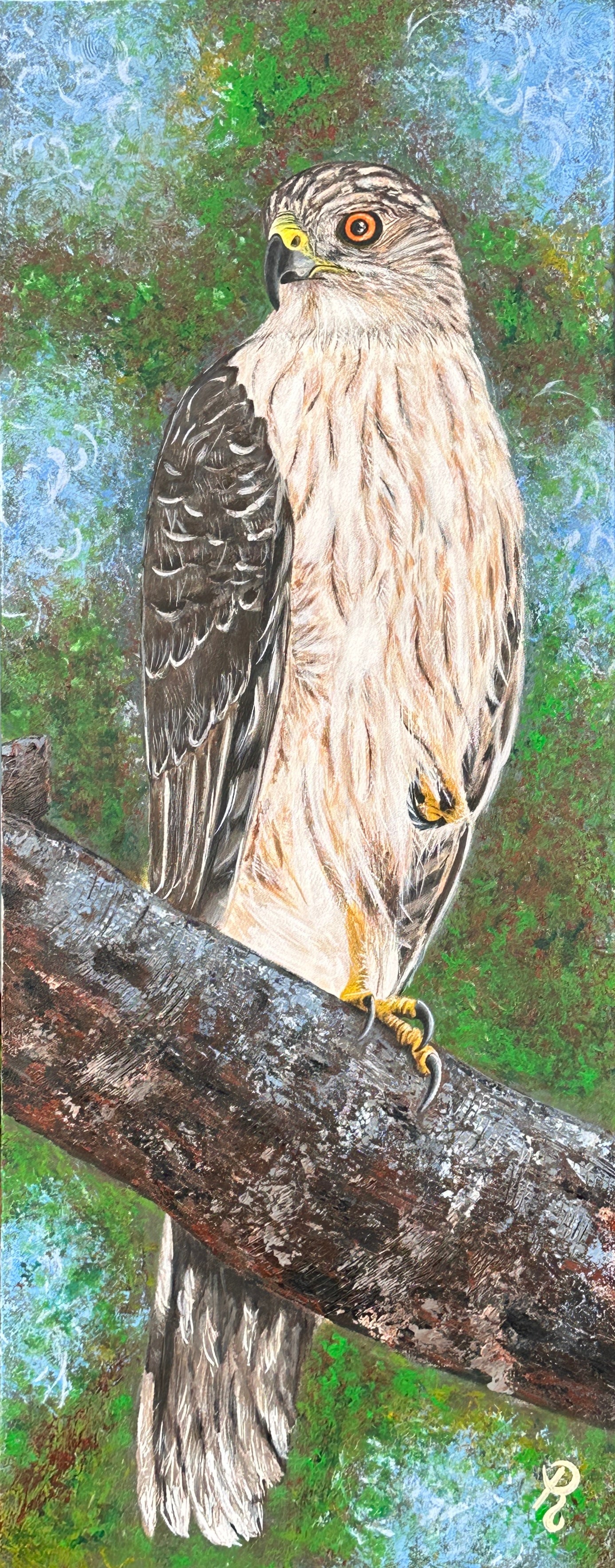 Perched Majesty: Cooper's Hawk Acrylic Painting