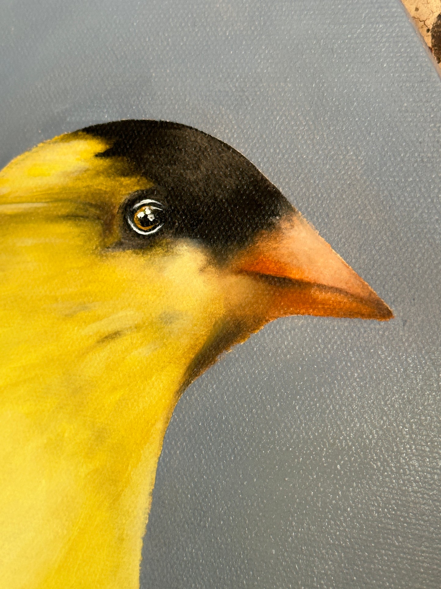 Radiant Goldfinch Oil Painting