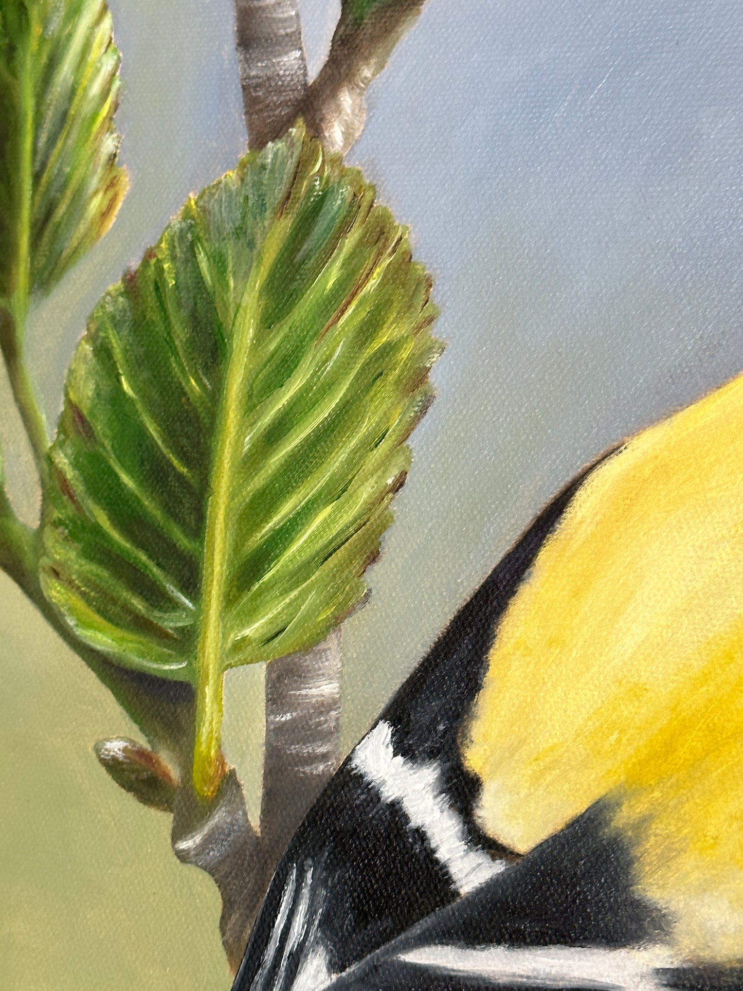 Radiant Goldfinch Oil Painting