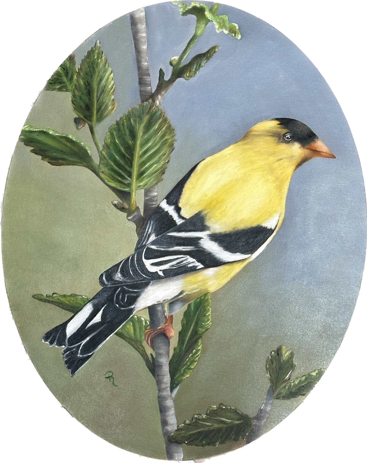 Radiant Goldfinch Oil Painting