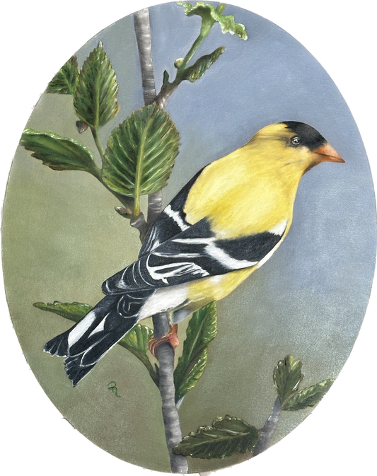 Radiant Goldfinch Oil Painting