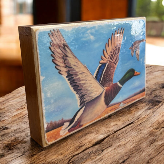 Wings Over Wetlands Art Print on Cradled Wood Panel