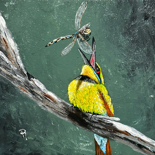 Rainbow Bee Eater Art Print