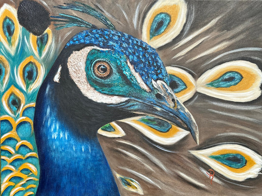 Majestic Peacock Art Print