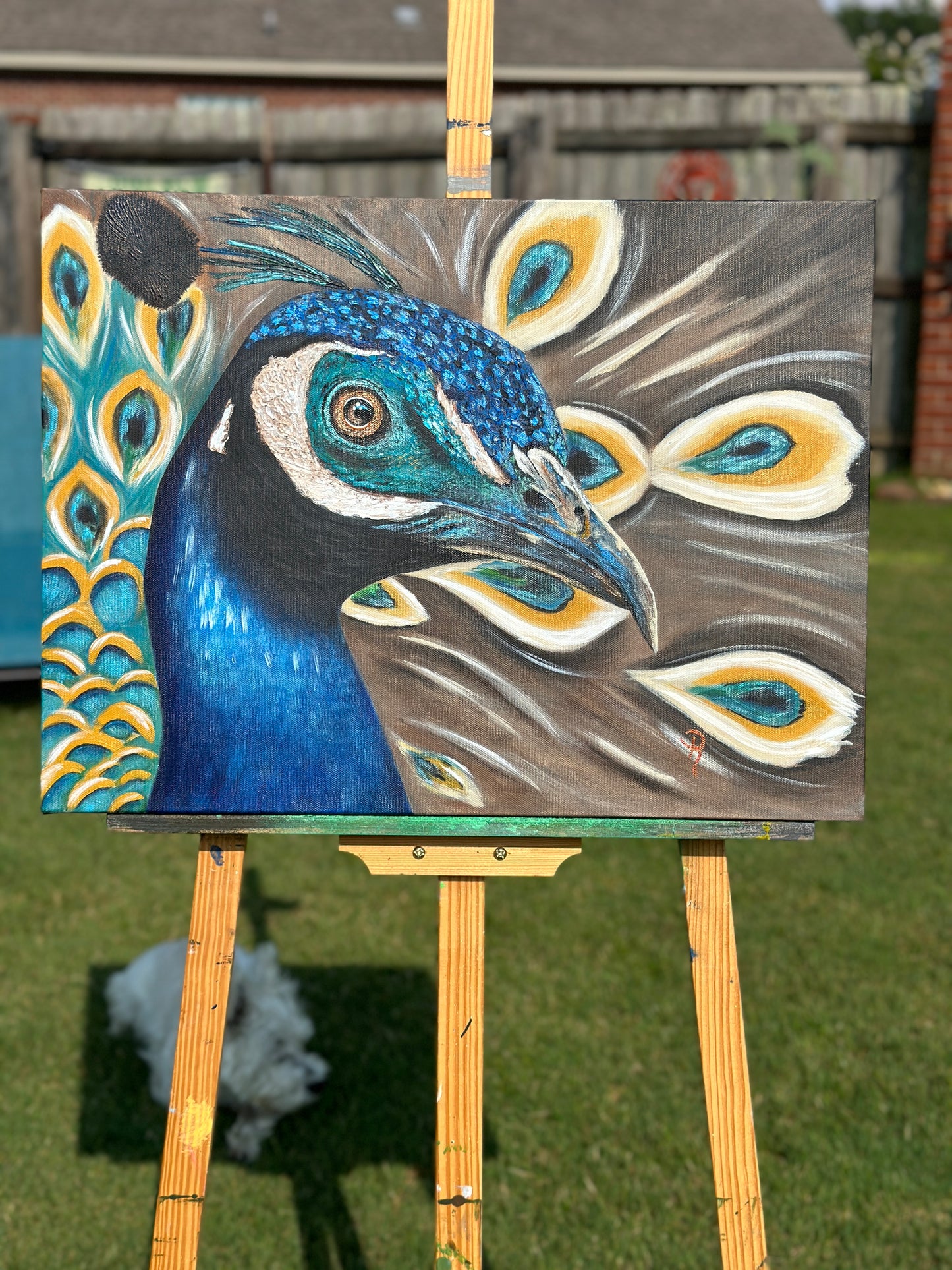 Majestic Peacock Acrylic Painting