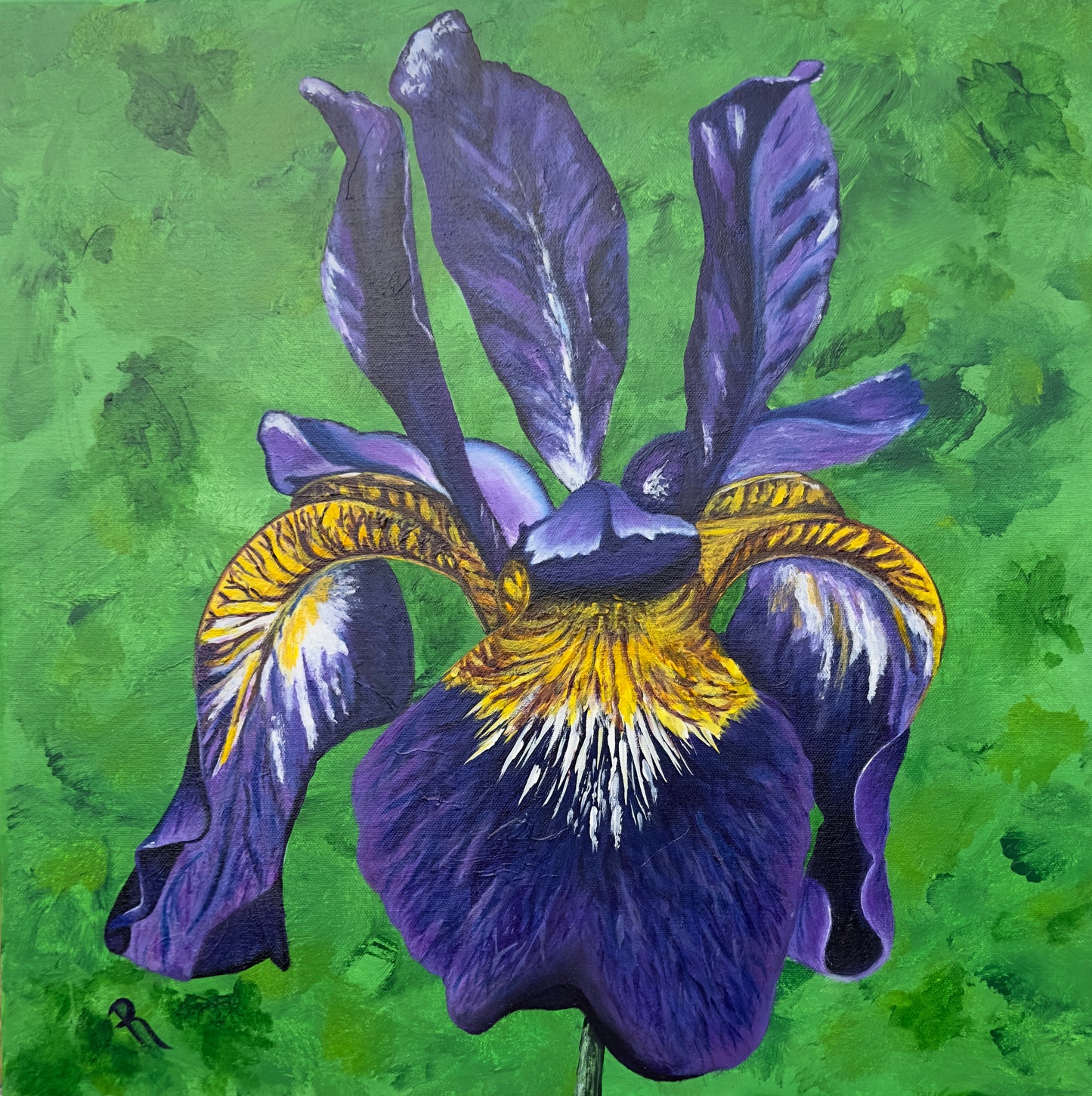 Siberian Iris Art Print