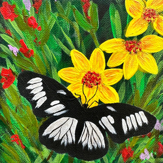 Zebra Wings Acrylic Painting