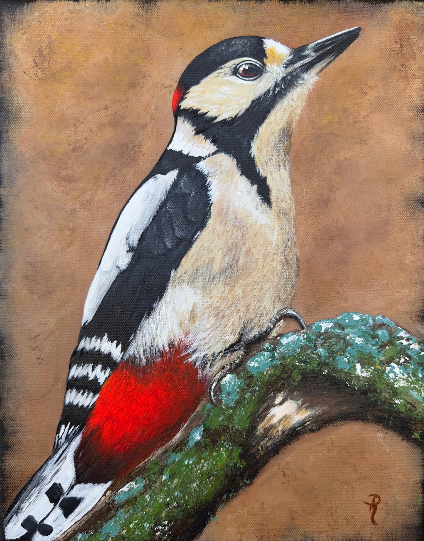 The Great Spotted Male Woodpecker Acrylic Painting