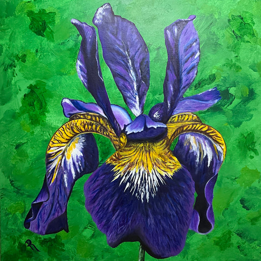 Siberian Iris Flower Acrylic Painting